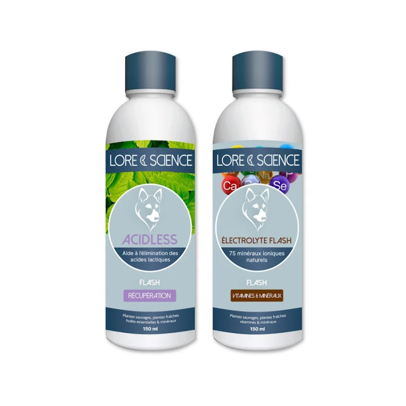 Pack Recup Effort - Recovery aid for sporting dogs - Lore & Science